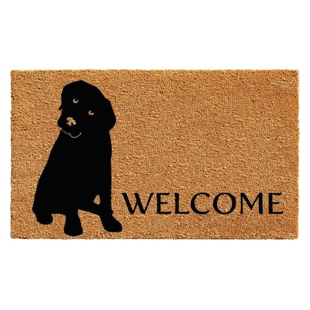 Calloway Mills 2 x 3 ft. Labrador Rectangular Doormat Natural & Black CA57159